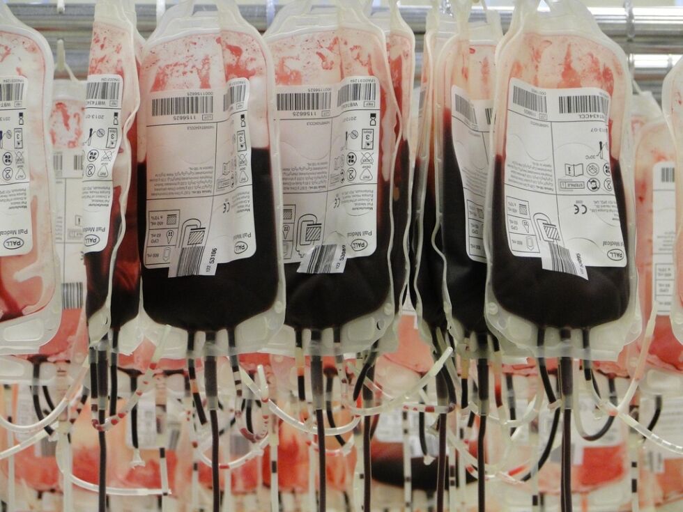 Endelig kan også døve bli blodgivere i Oslo.
 Foto: PxHere