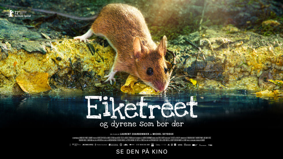 "Eiketreet og dyrene som bor der"
 Foto: Camera One - Gaumont