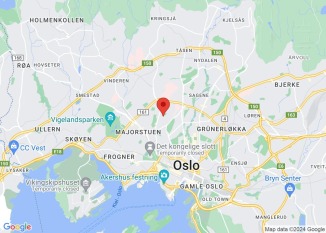Kan igjen bli flere el-sparkesykler i Oslo